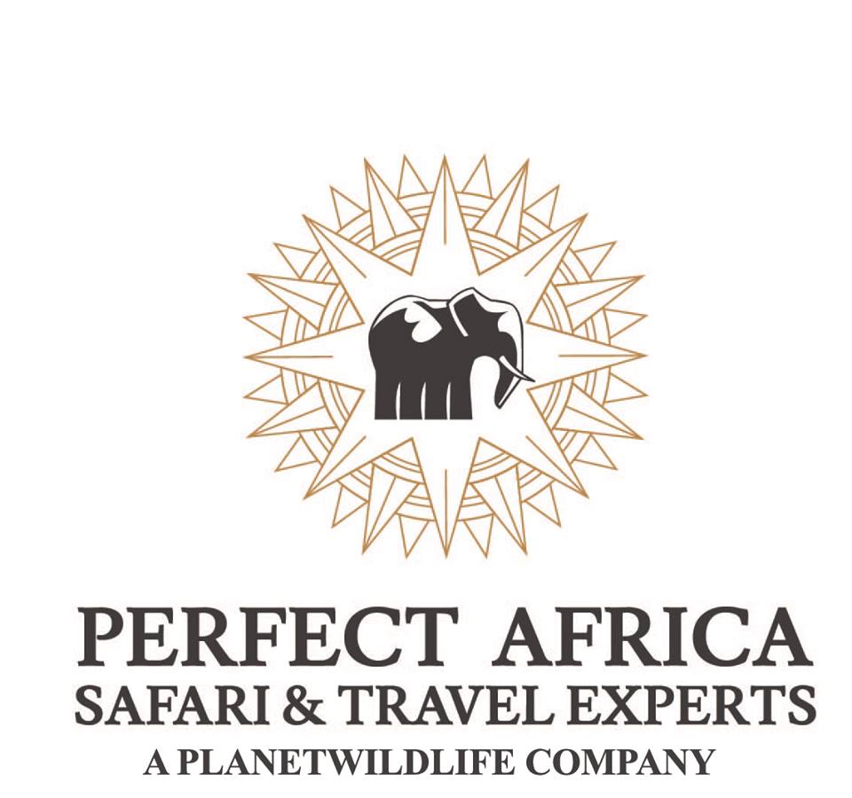 Find the Best African Safari Tours | ConsumerAffairs