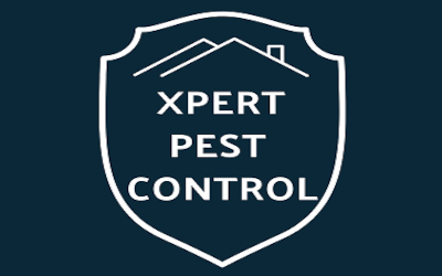Xpert Pest Control Services