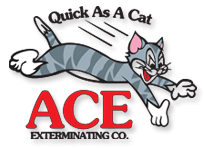 Ace Exterminating logo