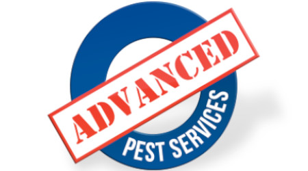 Advanced Pest Services
