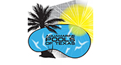 Aquamarine Pools