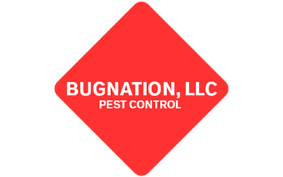 Bugnation