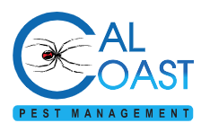 11 Best Pest Control Services In San Diego Ca Consumeraffairs