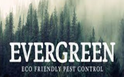 Evergreen Eco Pest Control