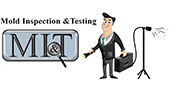 Mold Inspection and Testing