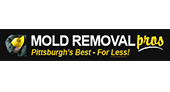 Pittsburgh Mold Removal Pros