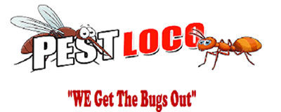 PestLoco Termite & Pest Control