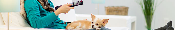 Person holding a remote with dog on lap