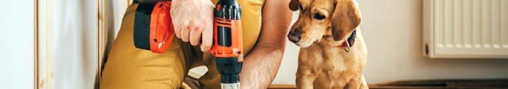 Dog looking at man drilling