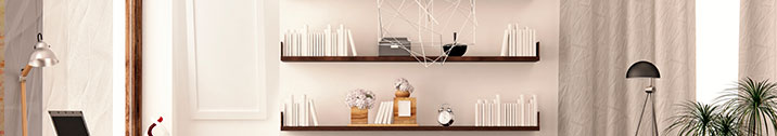 Modern living room with shelves