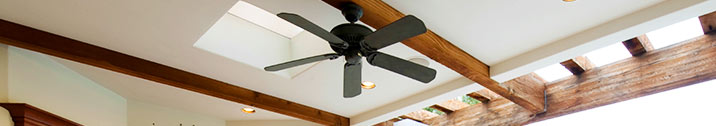 Black outdoor ceiling fan
