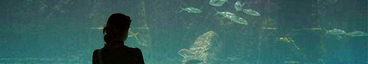Girl watching fish tank