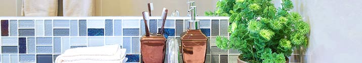 Toothbrushes and a plant