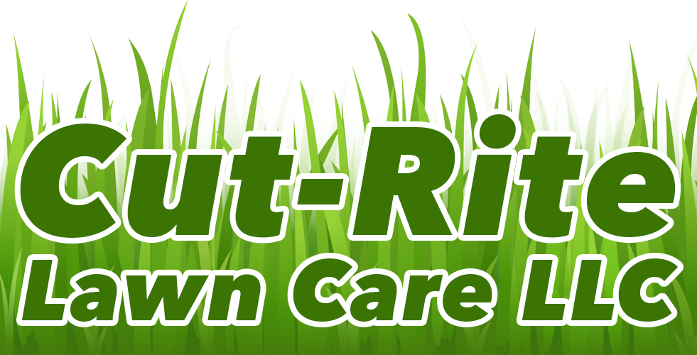Top 20 Complaints and Reviews about Cut-Rite Complete Landscaping
