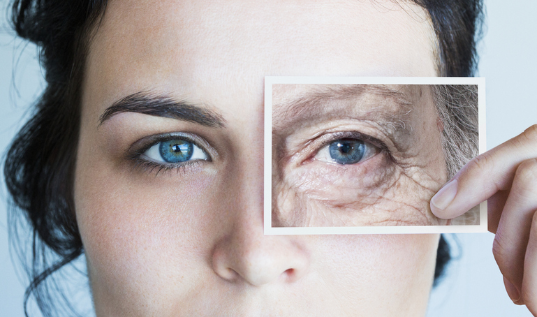 Harvard scientists say they can reverse the aging process