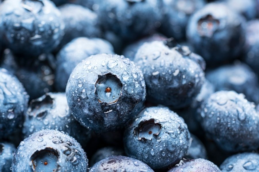 Compound found in blueberries could treat inflammatory diseases