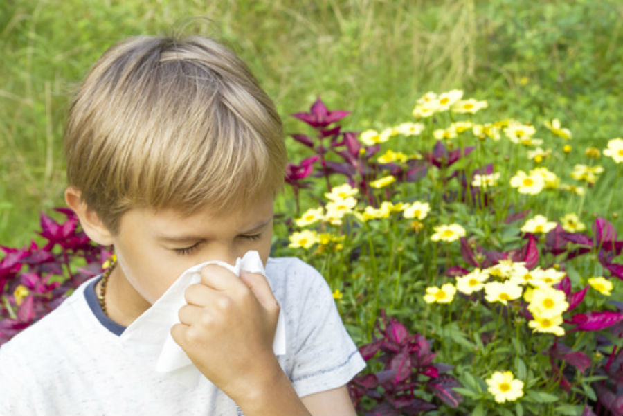 Kids with allergies and asthma have increased risk of