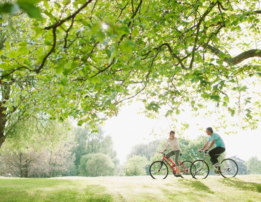 Living near green spaces may lower the risk of strokes, study finds - Vimarsana News