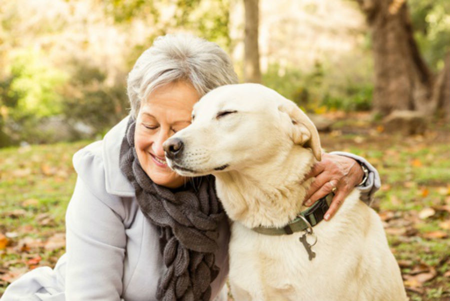 Image result for elderly person walking a dog