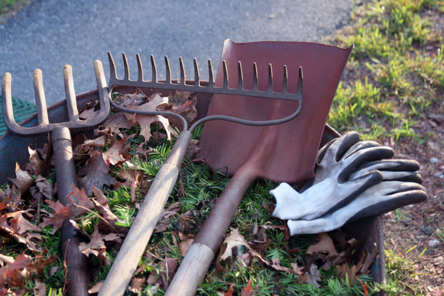 Five outdoor home maintenance tasks to complete this fall