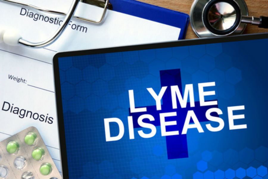 Climate change predicted to cause increase in Lyme disease