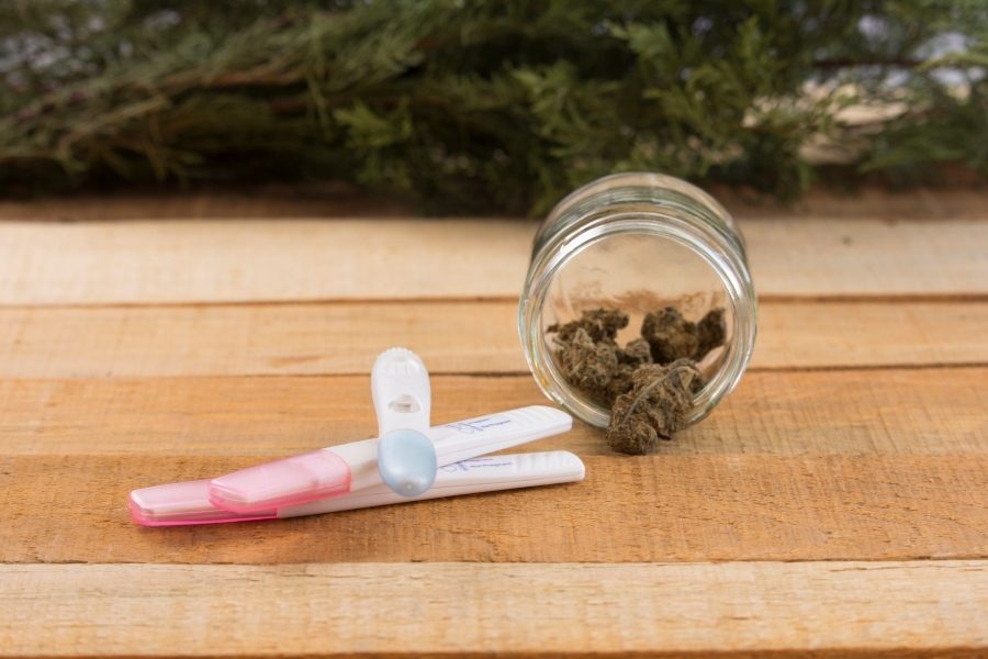 Marijuana use could negatively impact fertility, study suggests