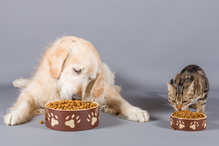 Pet food sales and costs are off the leash