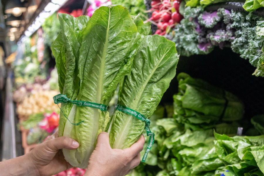 Health officials say some types of romaine lettuce are now safe to eat