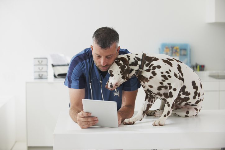 Would you go into debt for your pet’s health care? 78% probably would