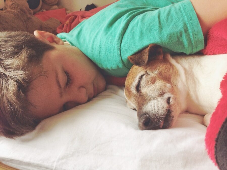 Sleeping with a pet isn't likely to disturb kids' quality of rest