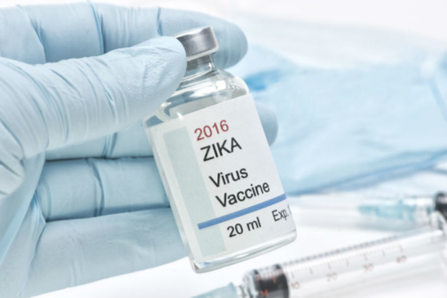 Researchers develop vaccine to fight Zika virus