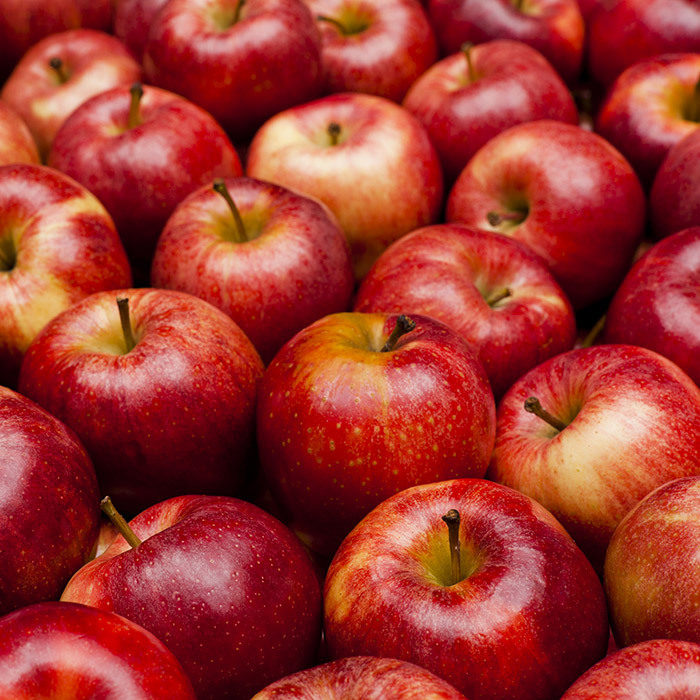 North Bay Produce recalls fresh apples
