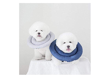 arrr dog comfy cone