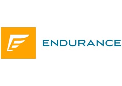 endurance logo