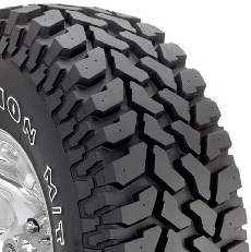 Which tires does Consumer Reports list as the best?