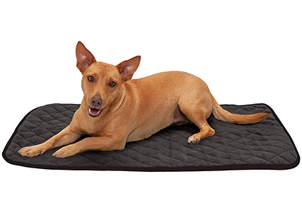 furhaven self warming blanket