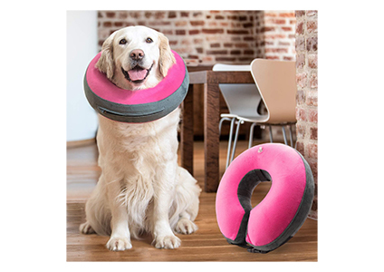 goodboy inflatable donut collar