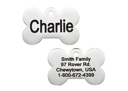 go tags personalized id