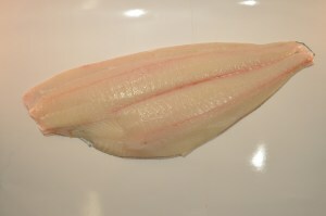 Northeast Seafood Products Recalls Various Seafood Products   Halibut Northeast Seafood 