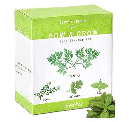 herb starter kit