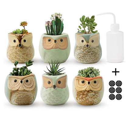 owl planters with succulents
