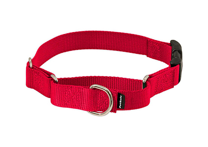 petsafe dog collar