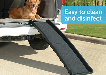 petsafe ramp
