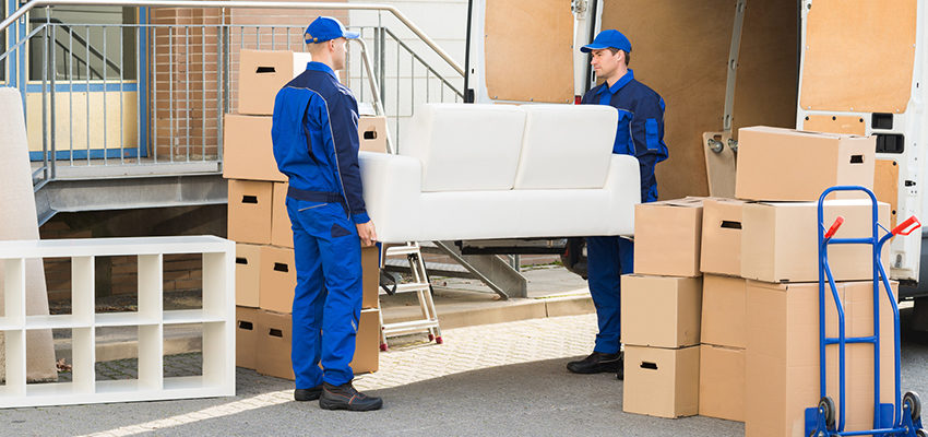 professional movers