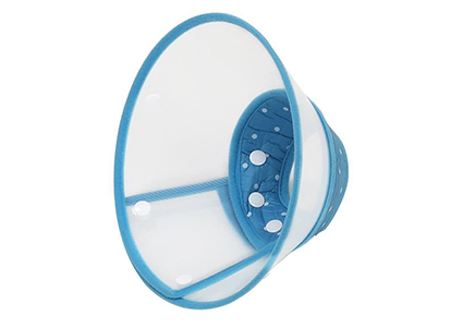 vivifying pet cone