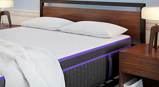 Nectar Hybrid Premier image