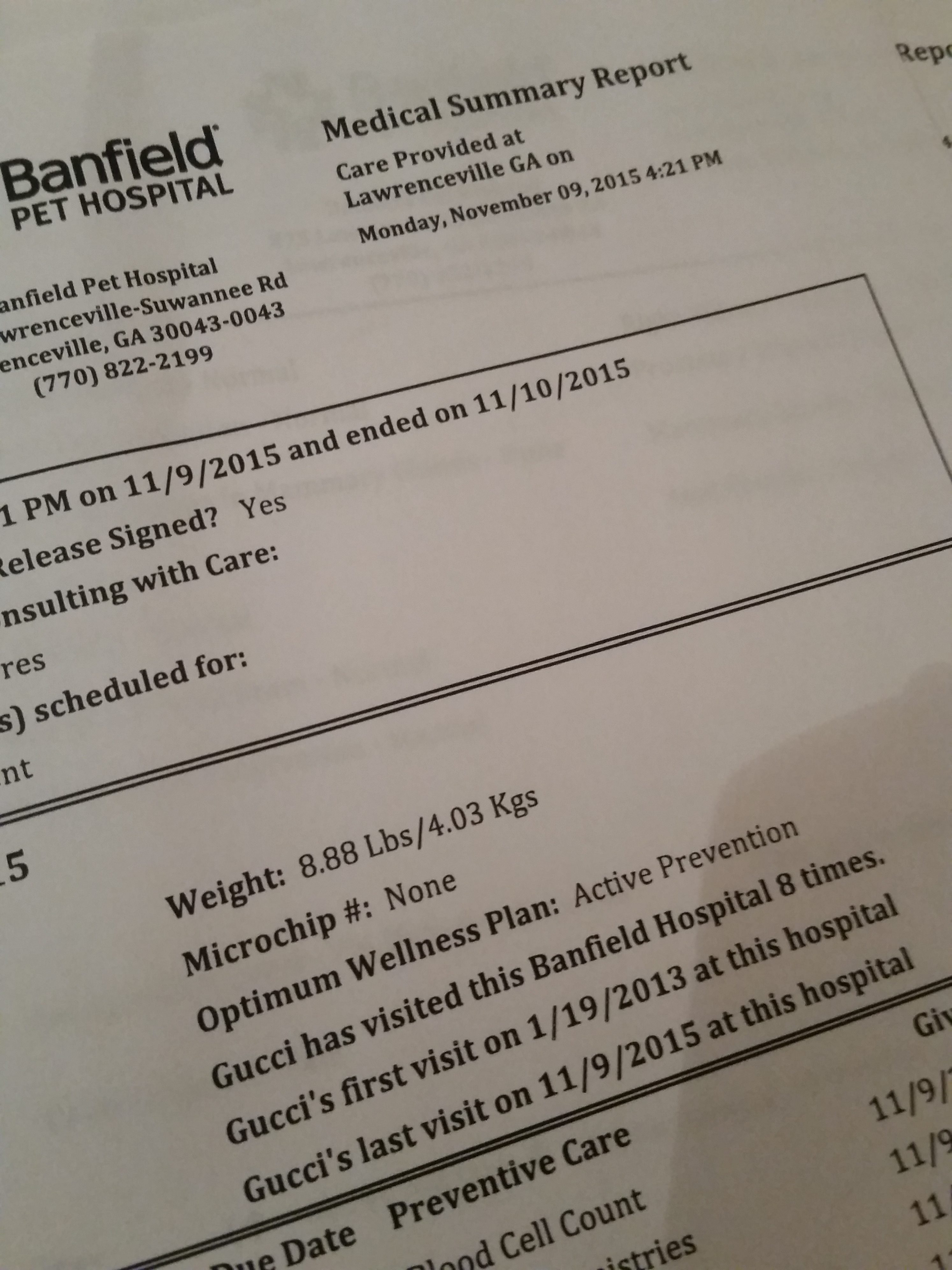 How Much Does Banfield Charge For A Visit 63 - rtbhvo0