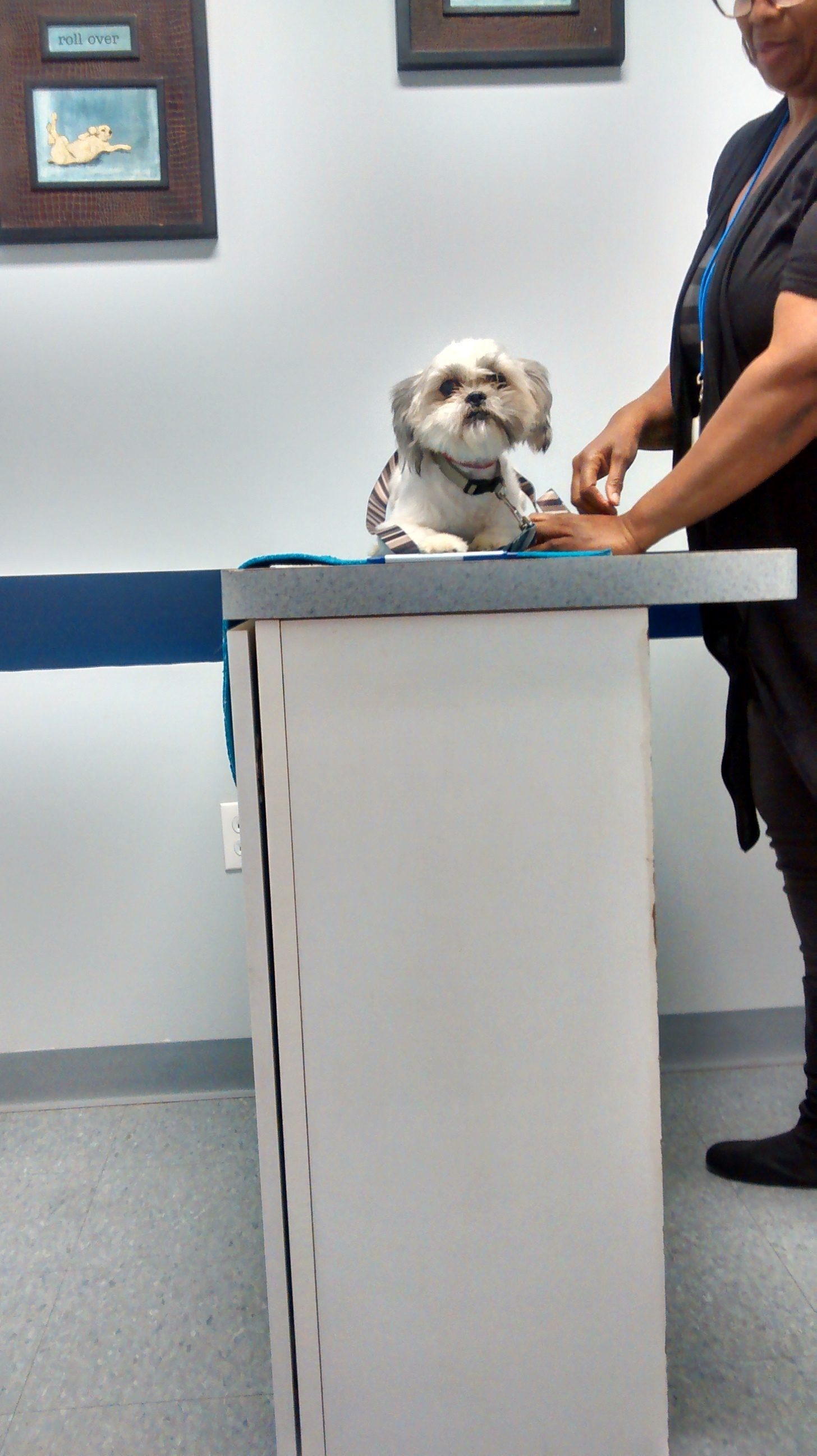 Top 1,731 Complaints and Reviews about Beneful Pet Foods Page 14