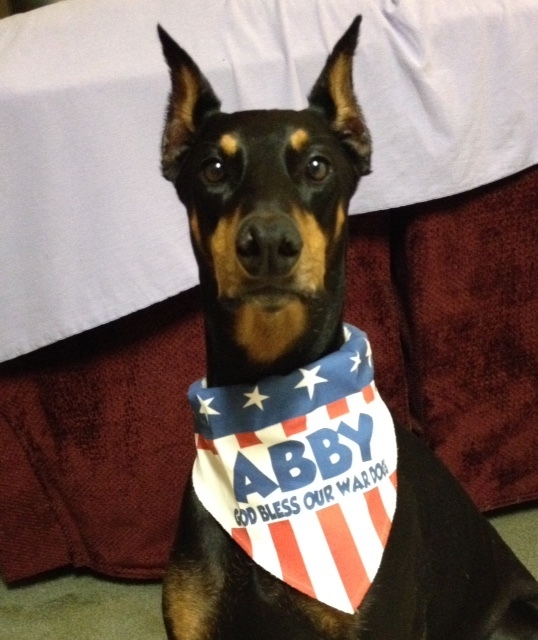 Top 1,659 Reviews and Complaints about Blue Buffalo Pet Foods Page 13