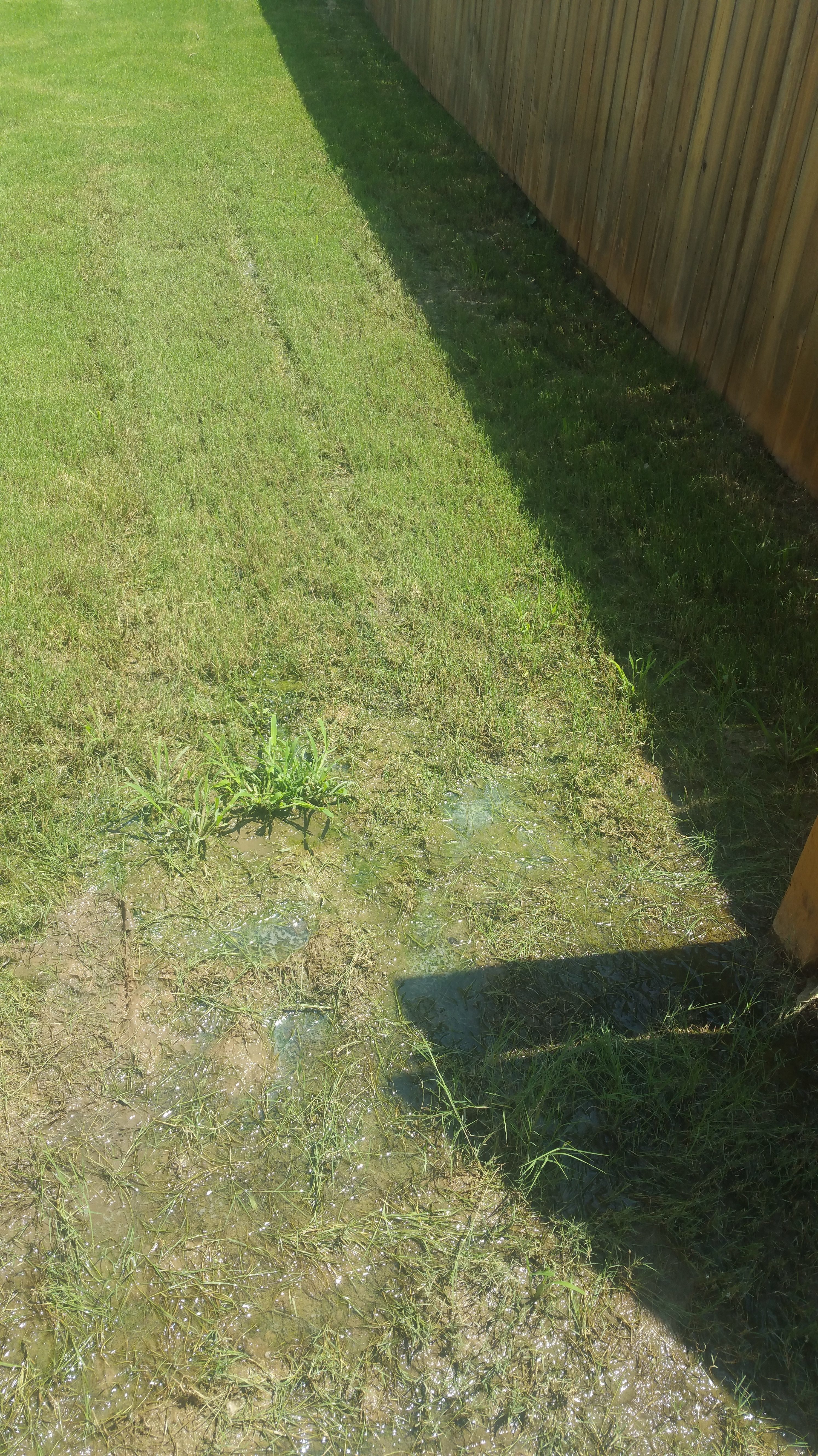 Top 154 Complaints and Reviews about Centex Homes